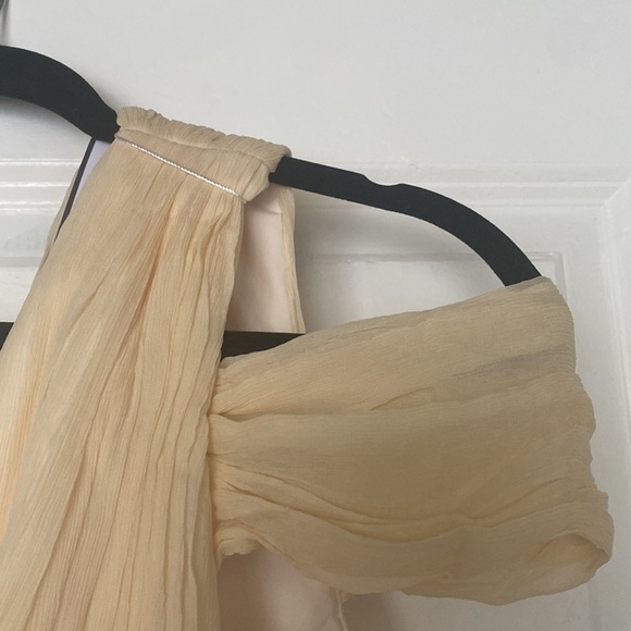 Champagne Colored J.Crew Chiffon Cara Dress Size 12 NWT - Picture 4 of 9